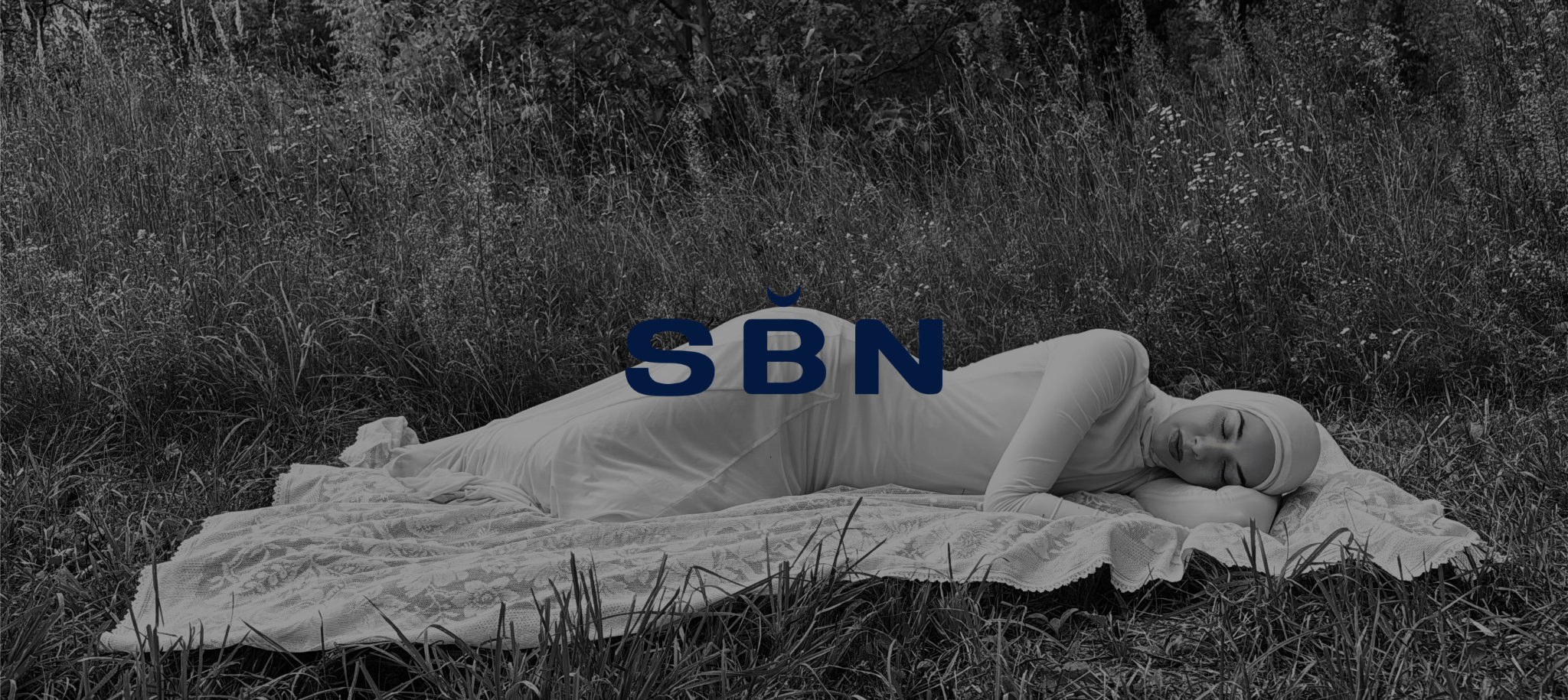 sbn main picture - second version